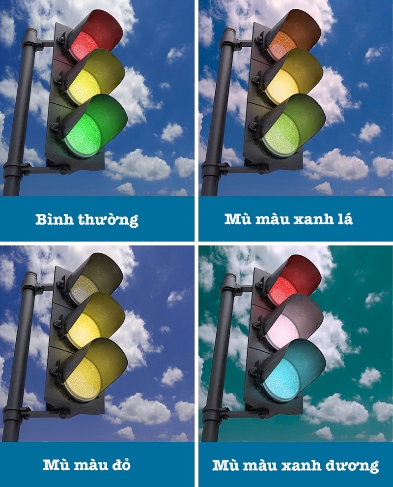 bệnh mù màu bệnh mù màu