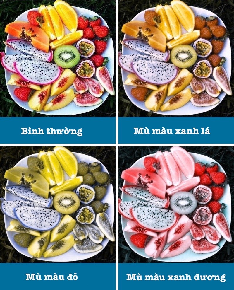 Bệnh mù màu Bệnh mù màu