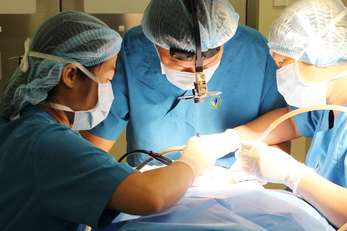 CIH hợp tác cùng WestCoast chăm sóc nha cho trẻ tự kỷ 3 cih hop tac cung westcoast cham soc nha cho tre tu ky 66f82c42f016d