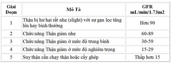 gfr toc do loc cau than chia khoa de hieu than hoat dong nhu the nao 66f819d97e7fa