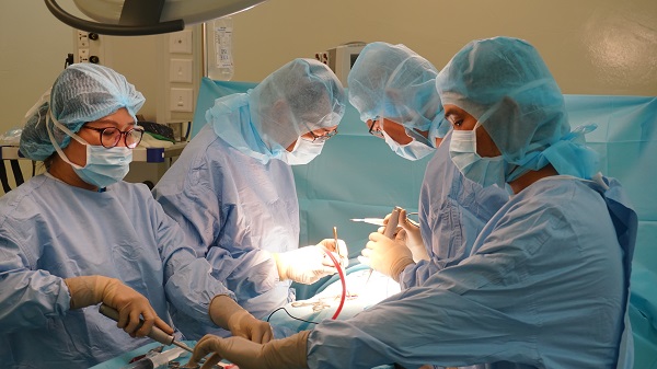 hai phuong phap dieu tri thoat vi dia dem pho bien 66f81e289b2e9