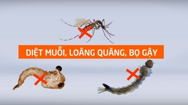 mua mua can trong voi dich sot xuat huyet 66f81e6d2dce7