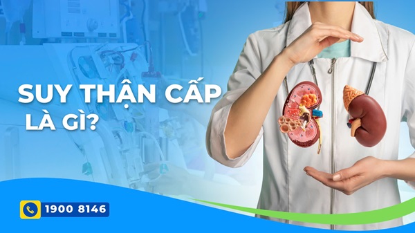 Suy thận cấp và cách phòng ngừa Suy thận cấp và cách phòng ngừa