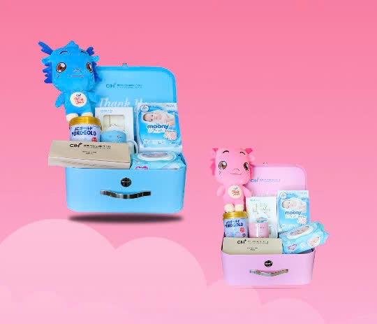 Tặng mẹ bầu vali đi sinh nghỉ dưỡng 5.0